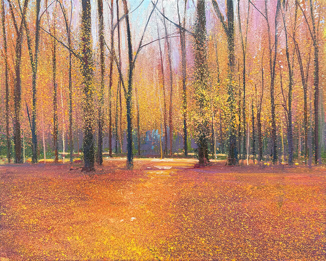 AUTUMN LIGHT FILTERS