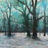 A Light Flurry  SOLD