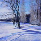 Sunshinesnowshadows  SOLD