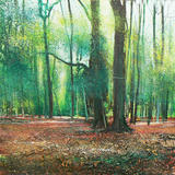 They will stand after we are Dust  SOLD