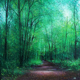 Quiet Morning Walk  SOLD