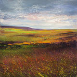 Moorland Colours