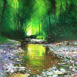 Shining Through  SOLD