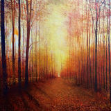Autumn Firelight.  SOLD