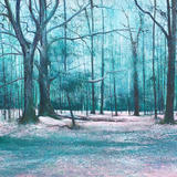 Another Light Flurry SOLD