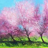 Cherry Blossom £200 SOLD LD SALE