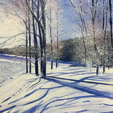 Snowshadows SOLD