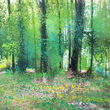 Springtime Whitley Woods Day 27 