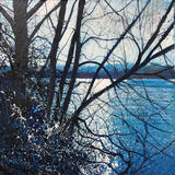 Sparkle through the Trees. Day 38