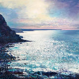 Priests Cove to Lands End Day 47 NFS