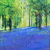 Blue Carpet Day 67 SOLD