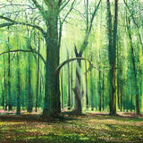 Spring Wood. Day 69 SOLD