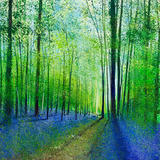 Bluebells. Day 124 SOLD