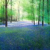 The Blues. Day 139 SOLD