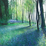 Kates Bluebells Day 140 SOLD