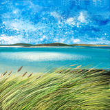 Tresco Day 142 GIFTED