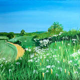 Stockley Trail Day 182 £95