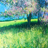 Stockley Blossom. Day 185 NFS