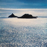 Prisons Sparkles Day 209 SOLD