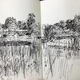 More Allotments Day 246 NFS