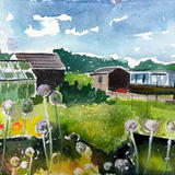 Allotments Day 247 NFS