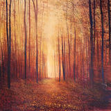 Autumn Day 252 SOLD