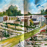  Allotment sketch Day 260 NFS