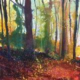 Whitley Autumn Day 262 SOLD