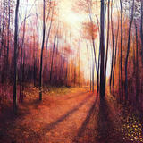 Autumn Shadows. SOLD