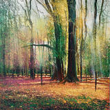 My Whitley Twosome. Day 291 SOLD