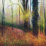 Autumn study Day 292 sold