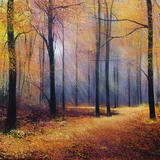 Favourite time of Year Day 294 SOLD