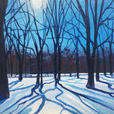 Shadows in the Snow Day 326 SOLD
