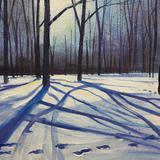 Shadows Day 332 PRIZE