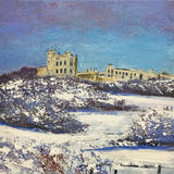 Bozer castle int Snow Day 334