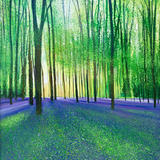 Early Morning Blues Charity price £200 SOLD