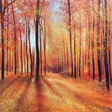 Shadows of Autumn SOLD