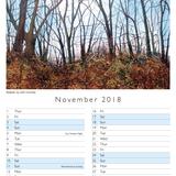 November