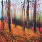 Autumn splendour SOLD