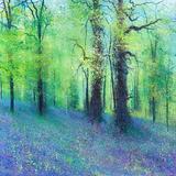 Spring Colours  SOLD