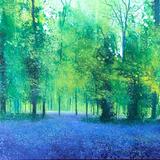 Ocean of bluebel SOLD