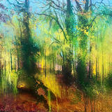 Whitley Autumn Colour.. 