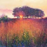 COPSE ON THE HILL sold