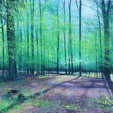 Whitley Springtime SOLD