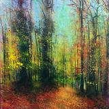 WOODLAND COLOURS SOLD