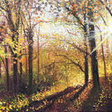 SUN BREAKS THROUGH SOLD