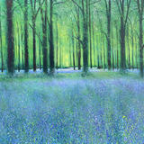 Spring Walk sold