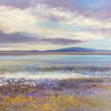 SOLWAY FIRTH SOLD
