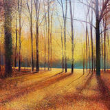 Golden Shadows SOLD