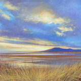 Roan Head Grasses sold